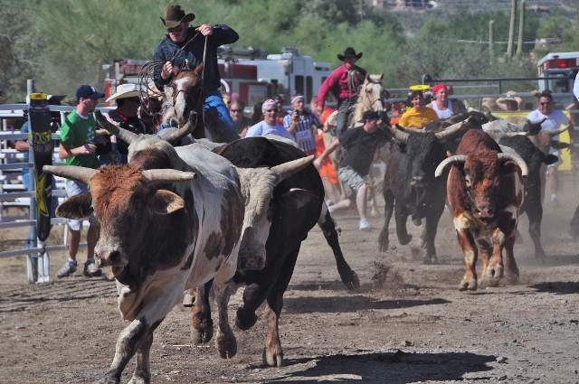 bull charger